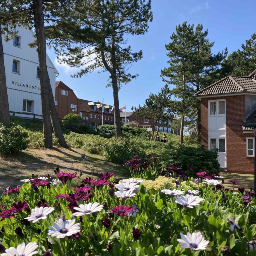 Das zentrale Gelände der AOK-Nordseeklinik auf Amrum. Im Vordergrund weiße und lilafarbene Blumen, im Hintergrund die Villa Kunterbunt, das medizinische Zentrum und Haus Pippi Langstrumpf.