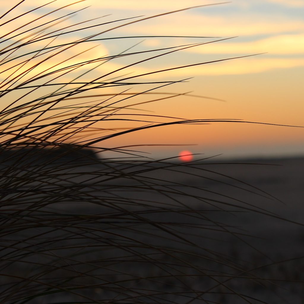 Sonnenuntergang am Strand der Nordseeinsel Amrum. Im Vordergrund Dünengras, dahinter Dünen, Strand und eine dunkelorangefarbene Sonne, die kurz davor ist, im Meer zu versinken.