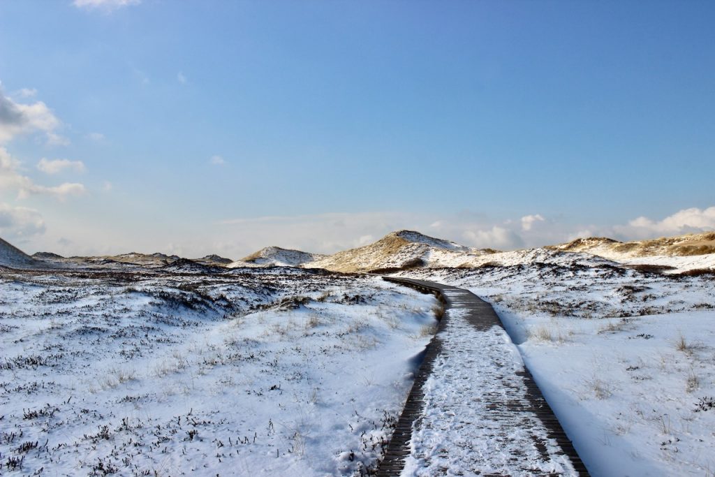 Eine verschneite Dünenlandschaft, durch die ein hölzerner Bohlenweg hindurchführt. Darüber ein blauer Himmel mit wenigen Wolken am Horizont.